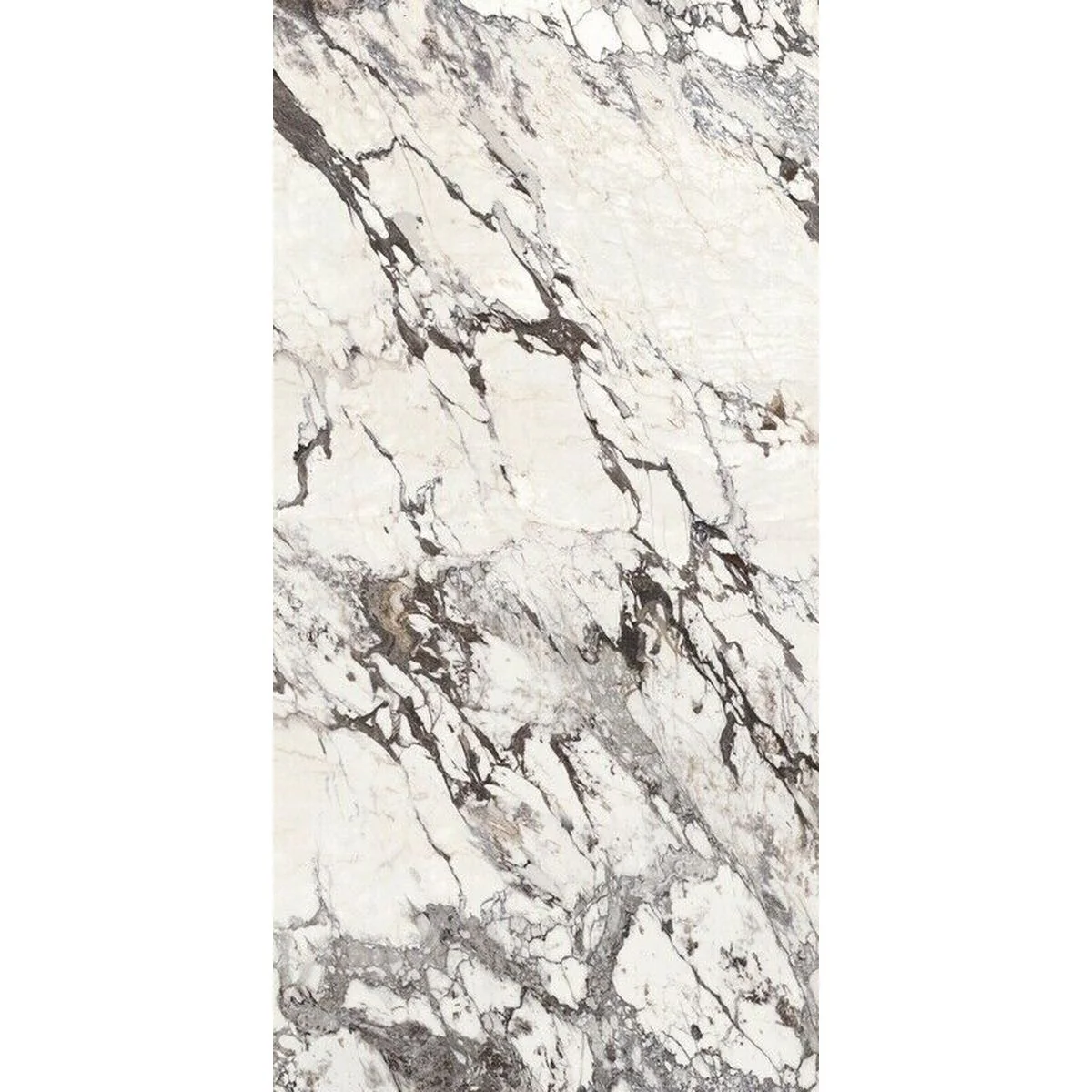 Hudson Capraia Matt Marble Porcelain 30cm x 60cm - Image 5